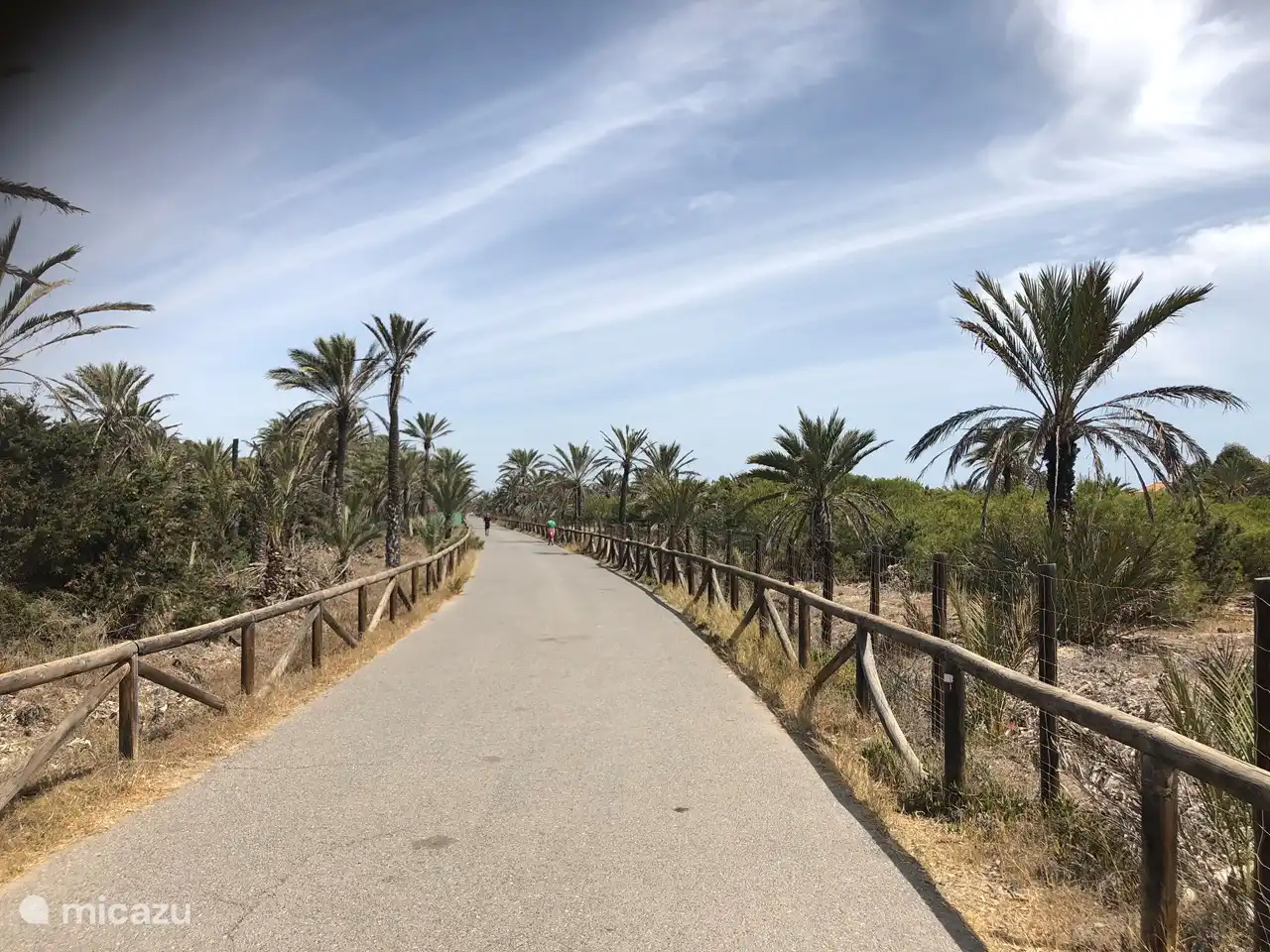 Dünengebiet hinter der Wohnung