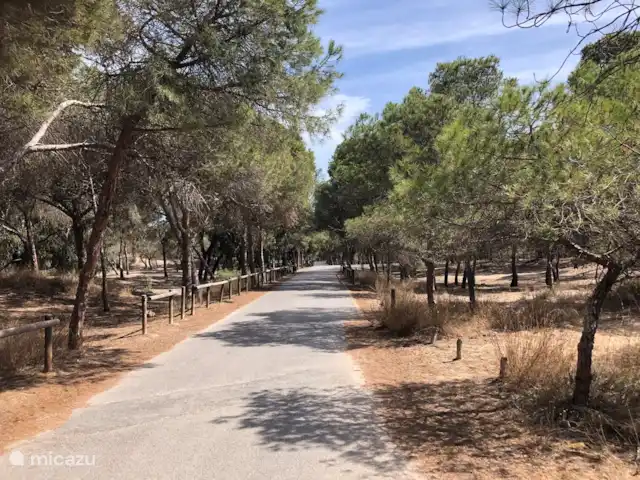 Casa Romina Guardamar | Espagne, Costa Blanca, Guardamar del Segura - appartement Parc Alfons Xlll Guardamar del Segura