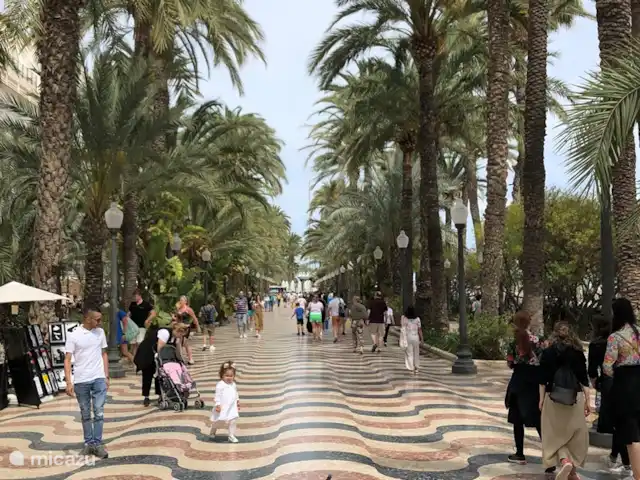 Casa Romina Guardamar | Espagne, Costa Blanca, Guardamar del Segura - appartement Alicante
