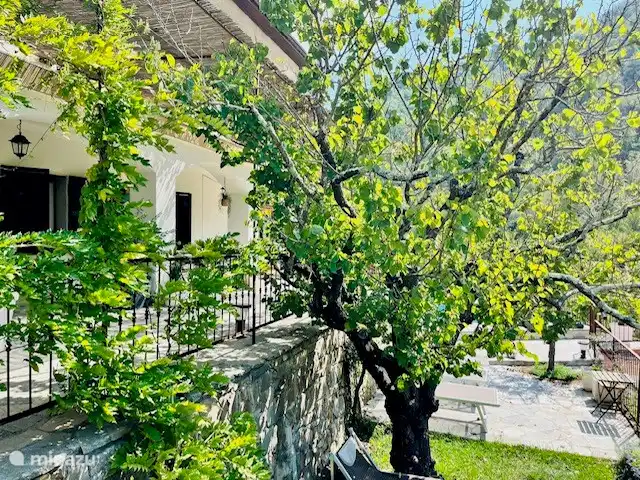 Location de Vacances Italie, Ligurie, Apricale, villa - Casa Bianca Apricale