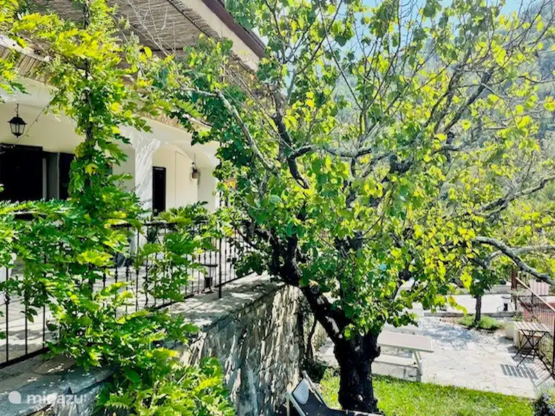 Casa Bianca Apricale | Italie, Ligurie, Apricale - Villa Casa Bianca Apricale | Italie, Ligurie, Apricale - Villa