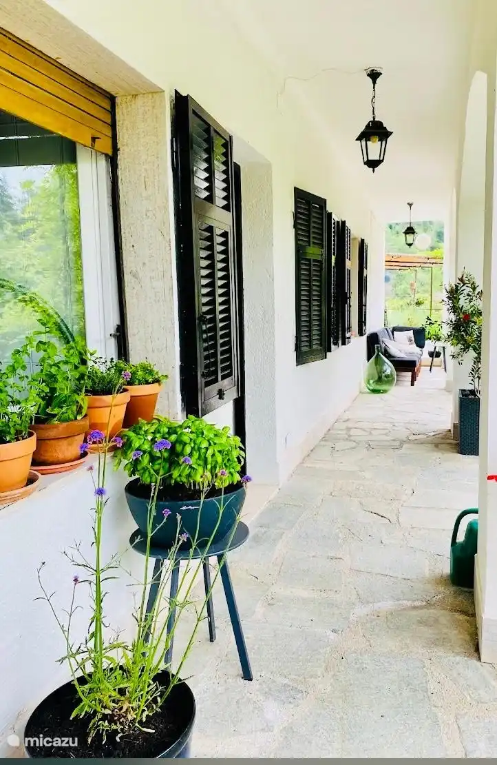 Köstliche Gerichte mit den frischen Kräutern zubereiten, die am Küchenstand stehen. Weiter befindet sich ein schöner Loungebereich  