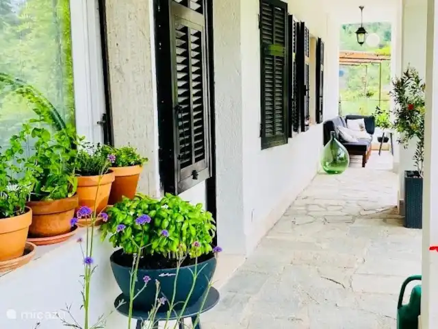 Location de Vacances Italie, Ligurie, Apricale, villa - Casa Bianca Apricale Préparer de délicieux plats avec les herbes fraîches qui se trouvent à l’étal de la cuisine. Plus loin se trouve un joli coin salon