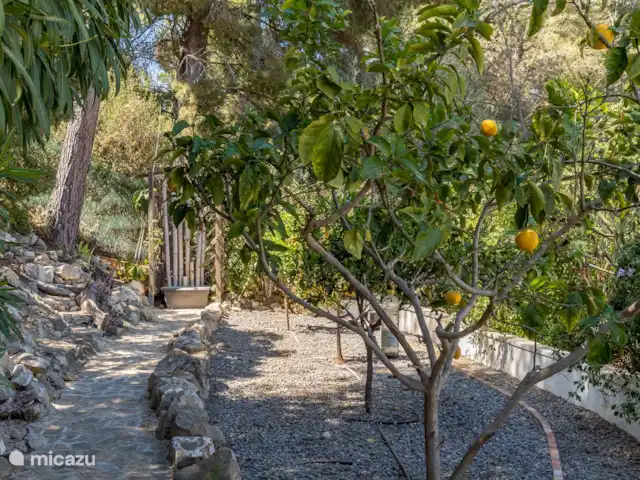 Luxe 6p. villa avec piscine privée ! | Espagne, Costa Blanca, Benissa - maison de vacances jardin