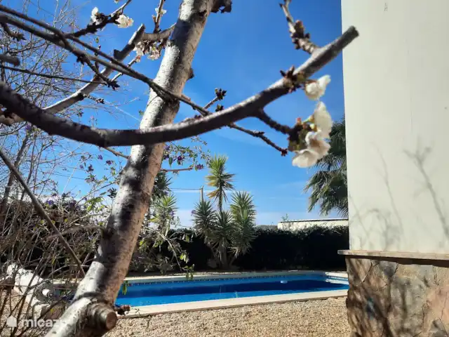 villa en España, Andalucía, Huércal-Overa – Casa Yucca Hermosas flores en el jardín