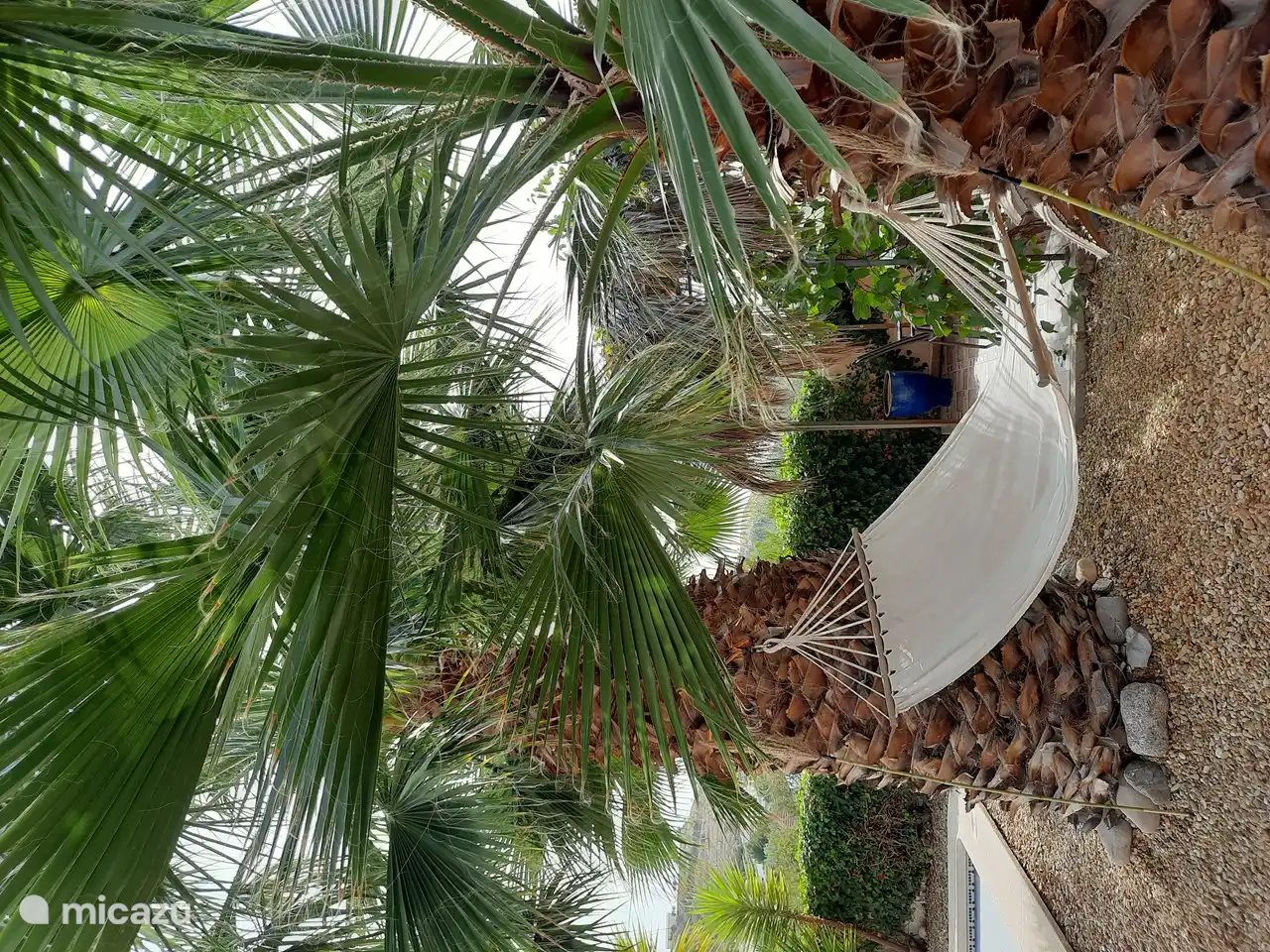 Séjour confortable dans le hamac