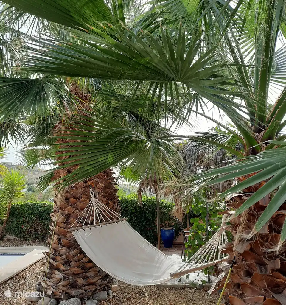 Casa Yucca, foto 5