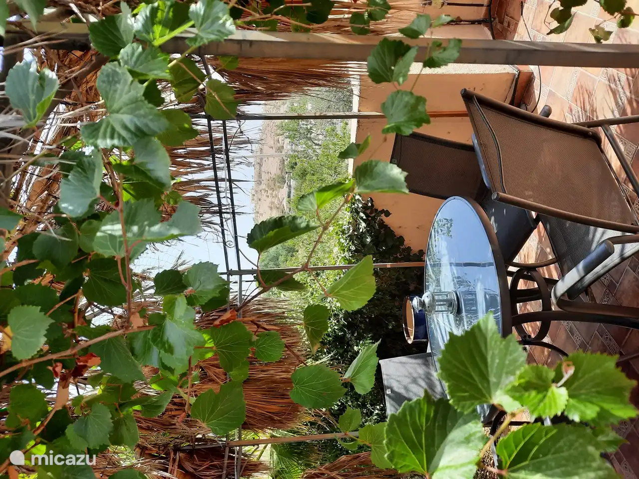 Terrasse sous le belvédère