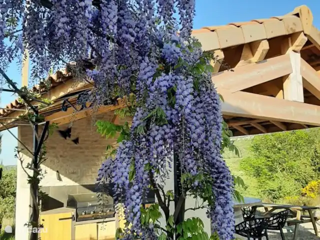 Pierre de Jourdan 8 personnes | France, Ardèche, Grospierres - villa Surtout au printemps, le jardin est une mer de fleurs.
