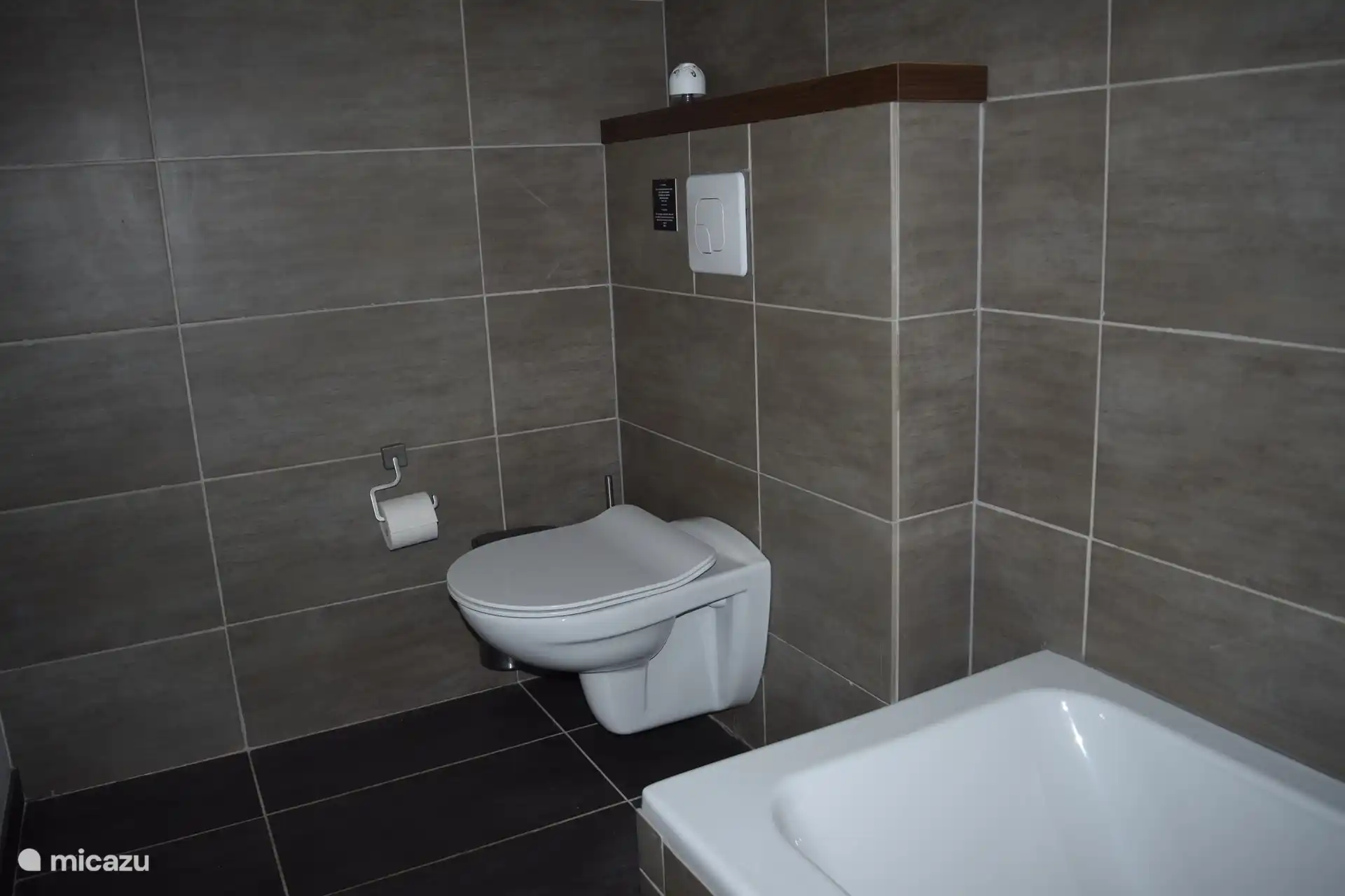 Salle de bain avec toilettes.