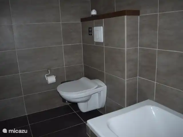 Pierre de Jourdan 8 personnes | France, Ardèche, Grospierres - villa Salle de bain avec toilettes.