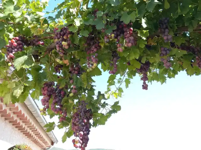 Pierre de Jourdan 8 personnes | France, Ardèche, Grospierres - villa De nombreux vignerons ouvrent leur cave pour une dégustation.