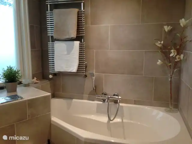 vakantiehuis huren in Nederland, Noord-Holland, Bergen – De Lijster Badkamer met ligbad,