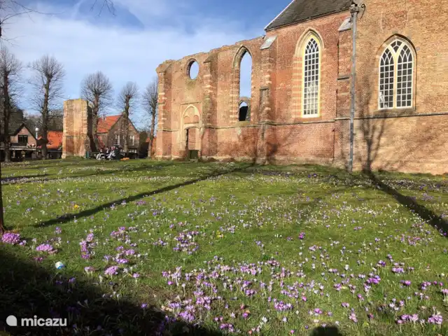 vakantiehuis huren in Nederland, Noord-Holland, Bergen – De Lijster Ruïnekerk Bergen