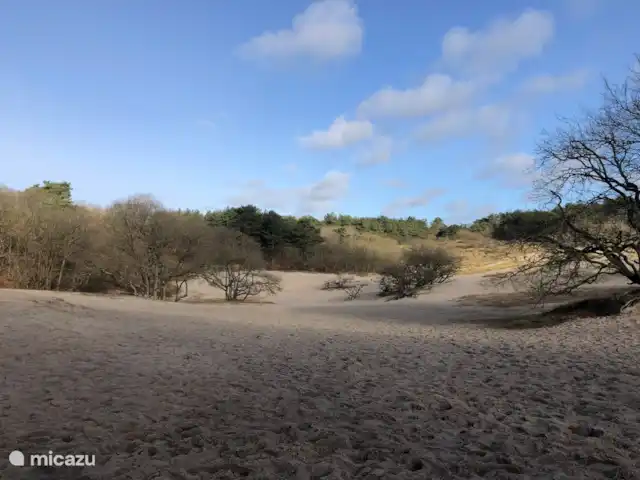 vakantiehuis huren in Nederland, Noord-Holland, Bergen – De Lijster Zandvlakte bij het Bergerbos