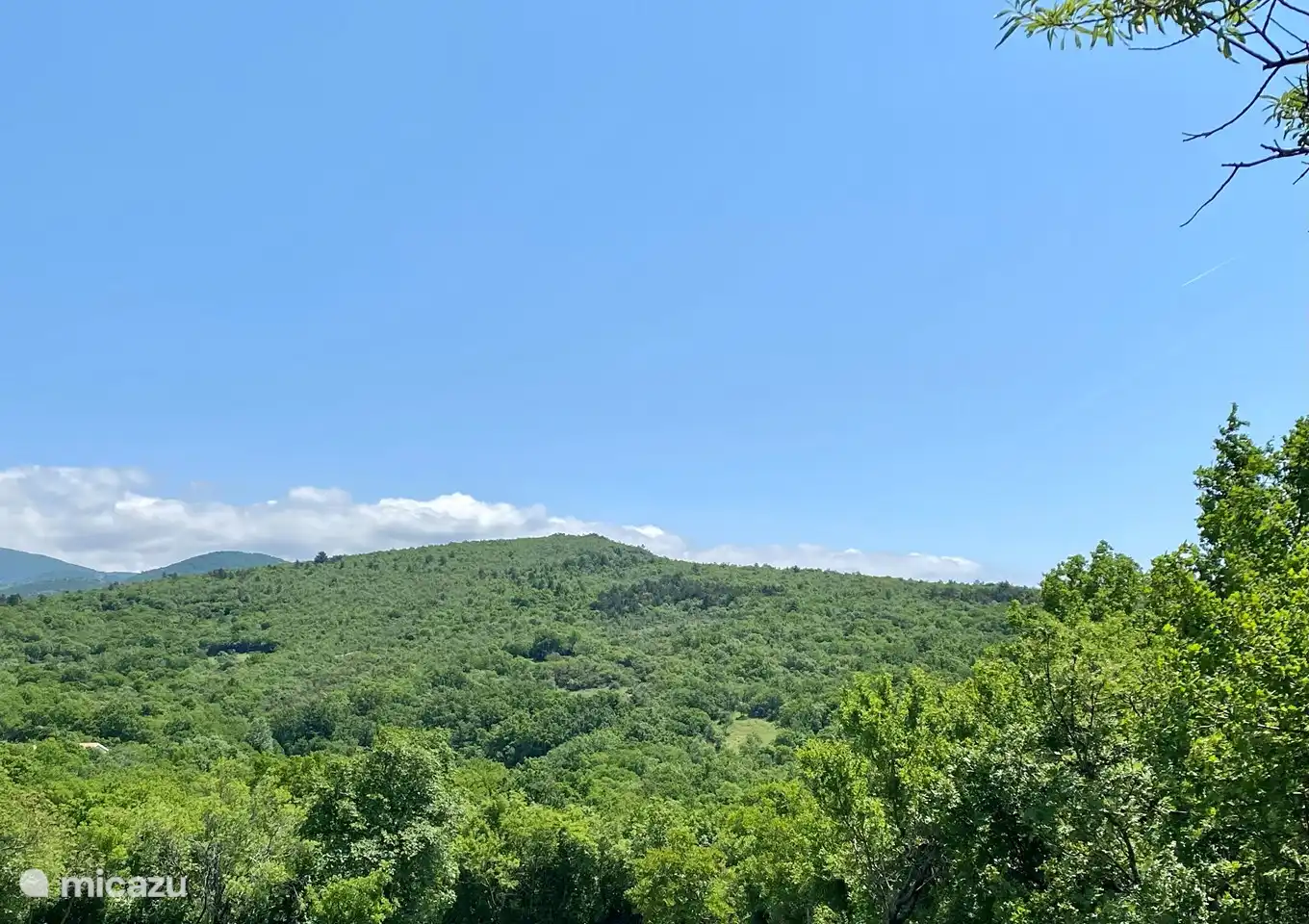 links das Dach der Villa Theresa