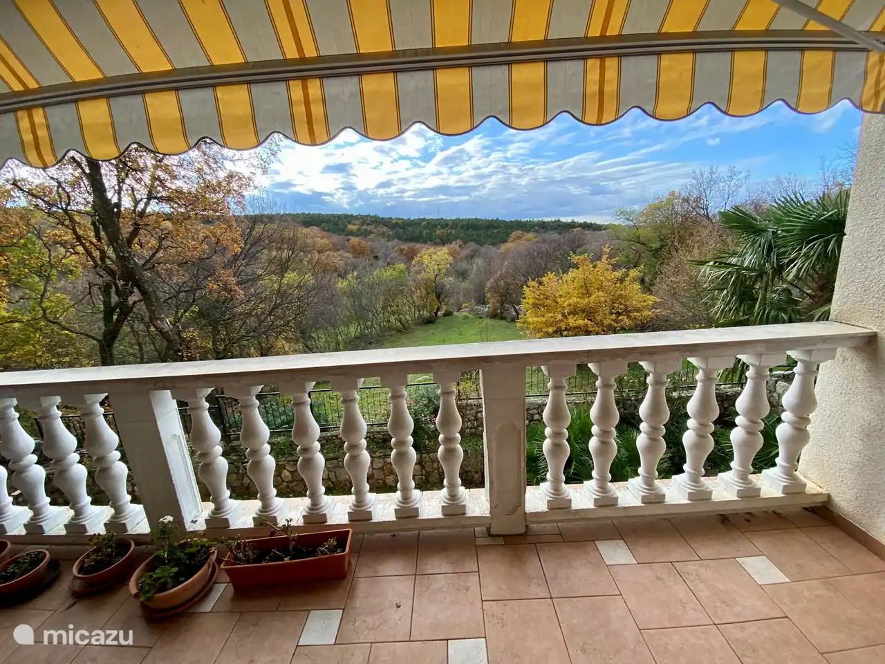 Blick vom Balkon auf den großen Garten