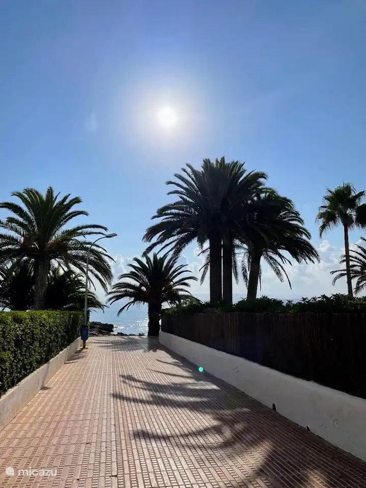 À côté du bâtiment se trouve un chemin qui donne un accès direct à la mer et à 100 mètres une très belle plage avec chiringuito.