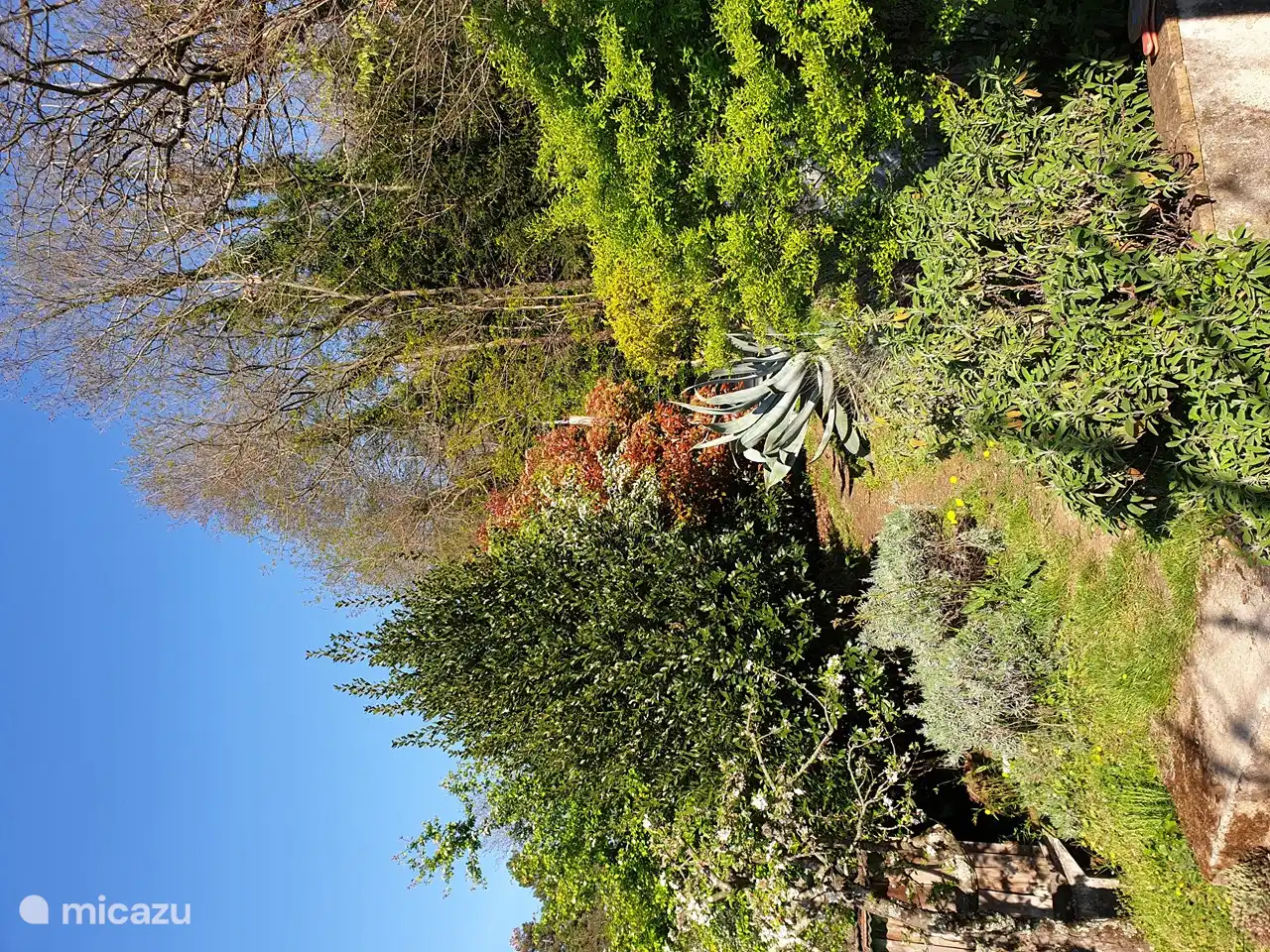 Straße zur Auffahrt