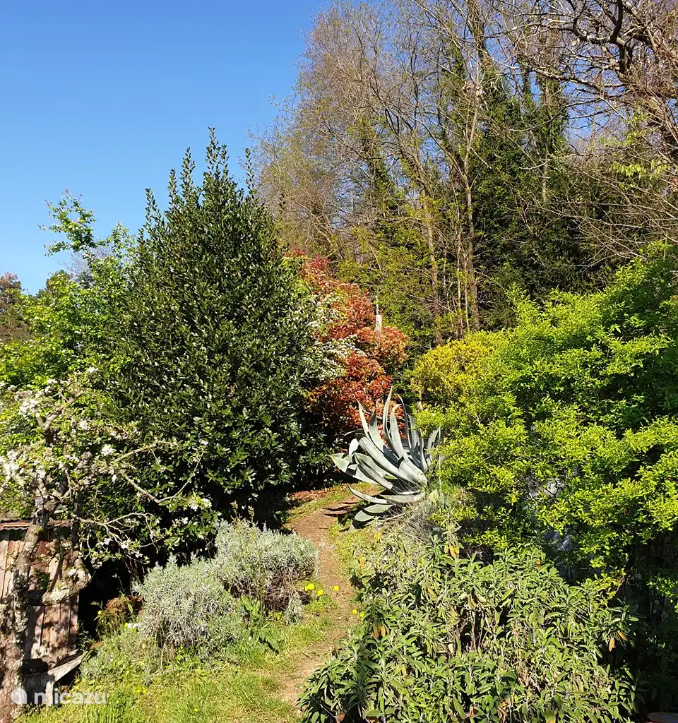 Casa SerenVigna