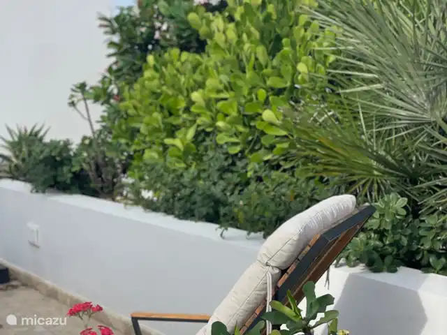 Beach Houses White Sands #Five huren in Curaçao, Curacao-Midden, Blue Bay - appartement