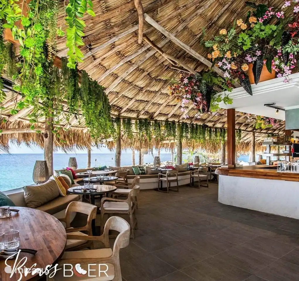 BrassBoer sur BlueBay, à distance de marche de l'appartement. Un point chaud.