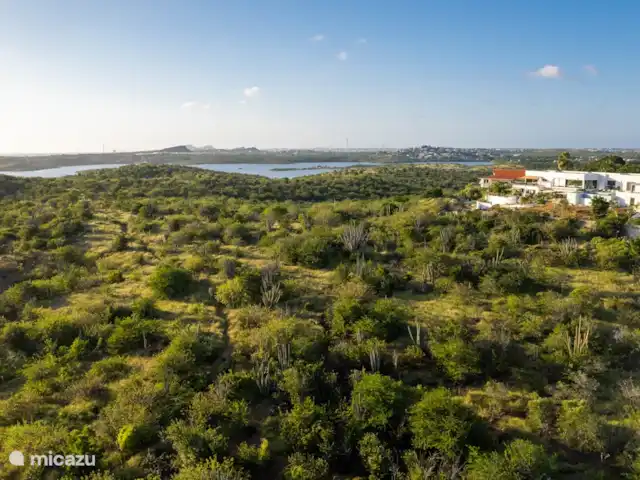 Location de Vacances Curaçao, Banda Ariba (est), Jan Thiel, appartement - Appartement Sacha Aperçu