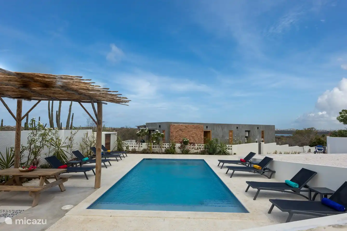 zwembad en zonnebedden