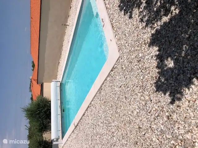 Piscine et jardin