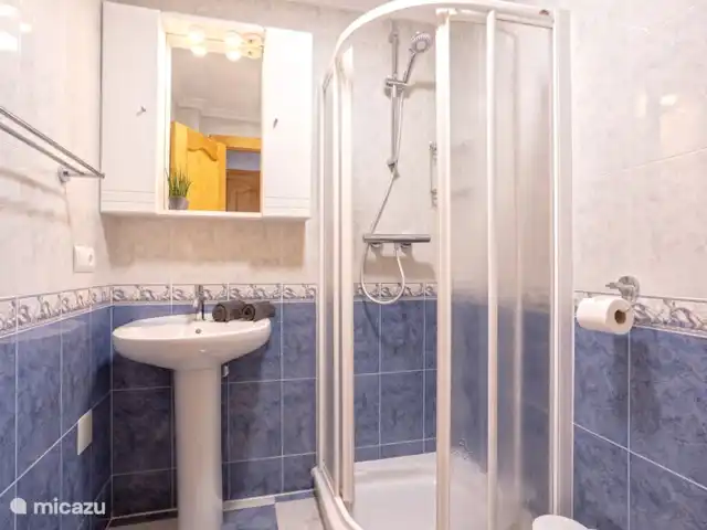 villa en España, Andalucía, Canillas de Aceituno – Casa Cartara Cuarto de baño 2 con ducha, inodoro y lavabo.