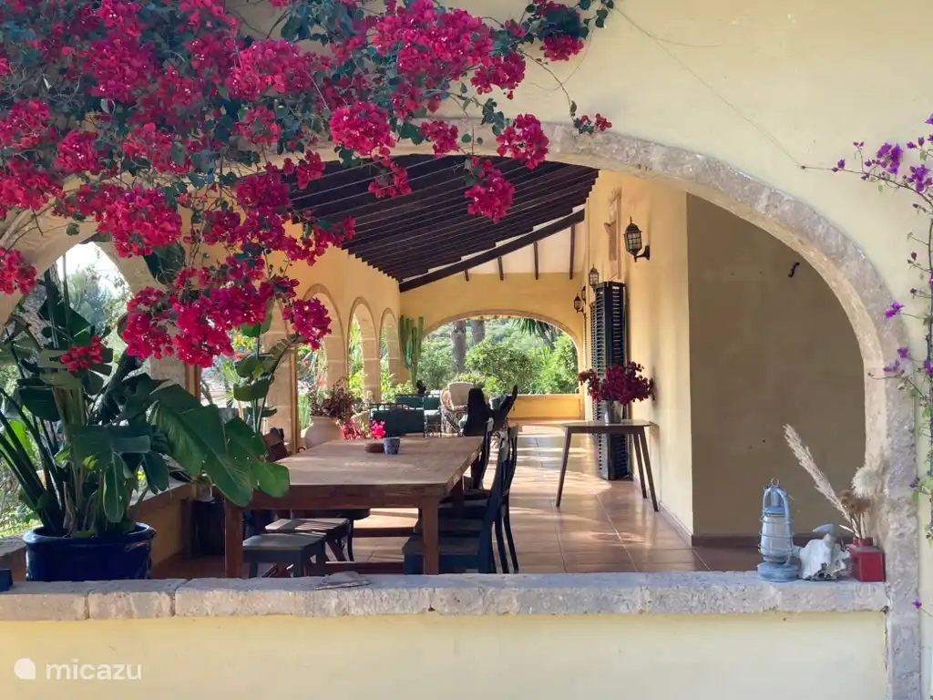 Große überdachte Terrasse (optional)