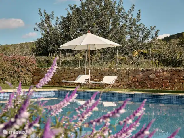 Can Roser huren in Spanje, Ibiza, San Antonio - villa