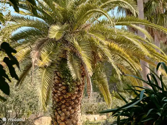 Can Roser huren in Spanje, Ibiza, San Antonio - villa