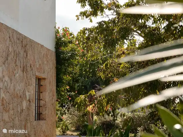 Can Roser huren in Spanje, Ibiza, San Antonio - villa