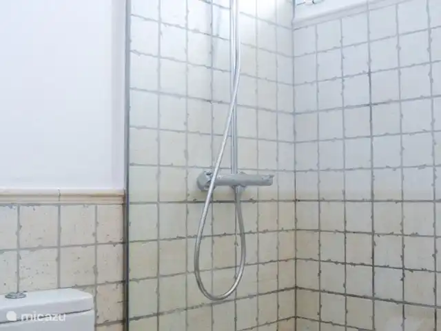 Can Roser huren in Spanje, Ibiza, San Antonio - villa bathroom