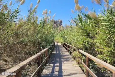 De belles plages avec de nombreuses entrées différentes