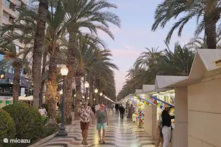 Alicante