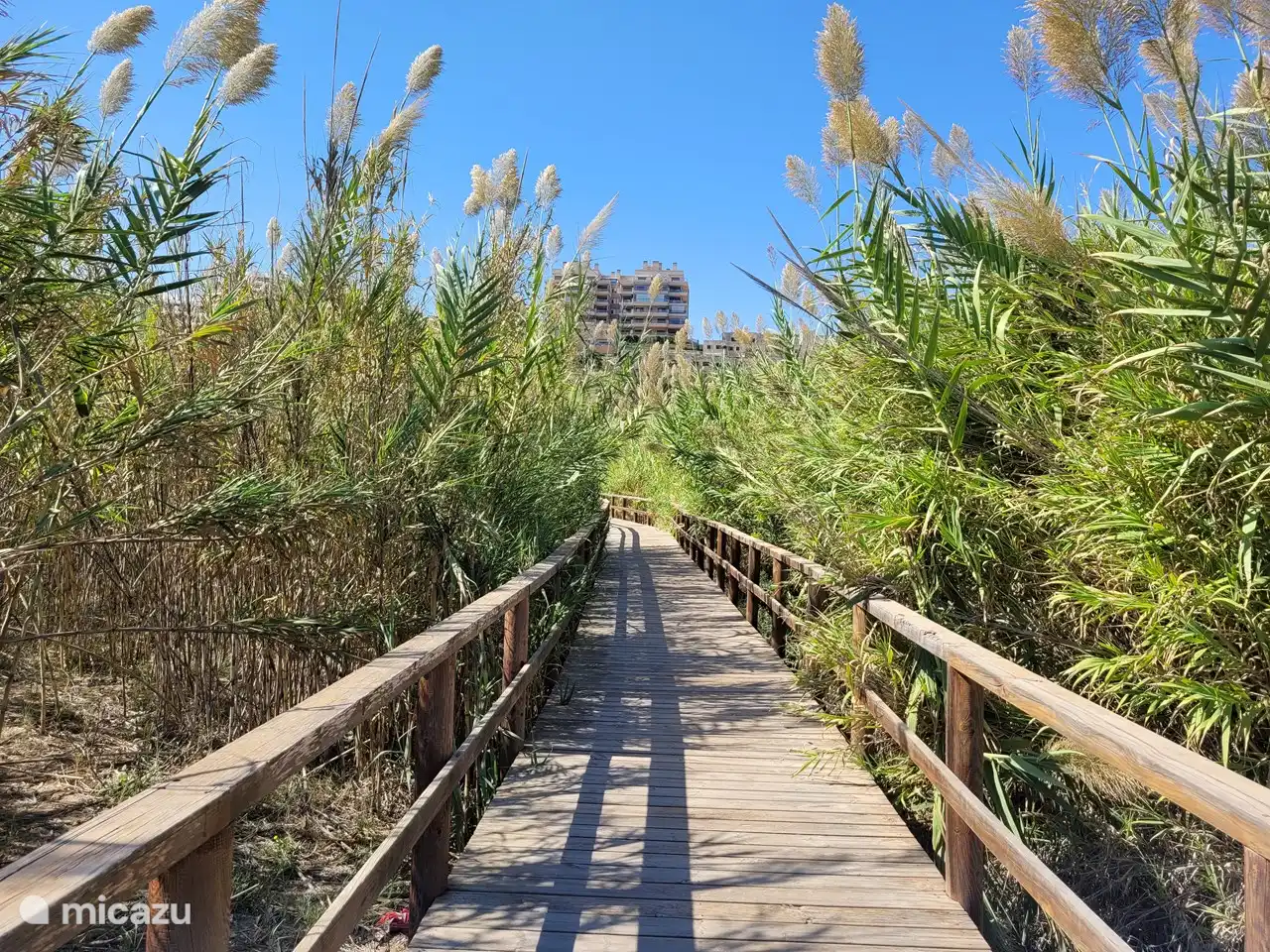 Einer der Eingänge zum Strand, 2,5 Kilometer von der Wohnung entfernt