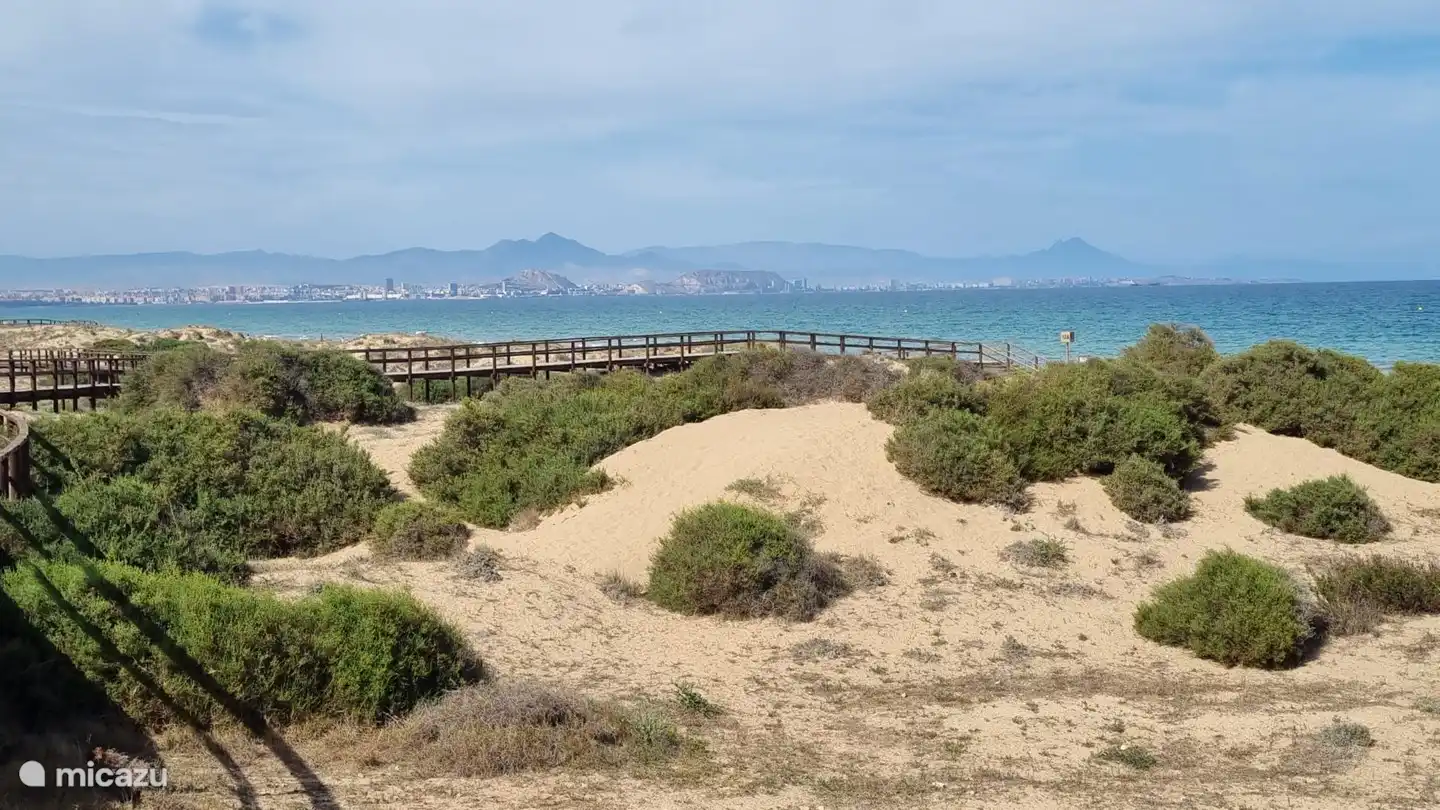 Blick auf Alicante vom Strand aus