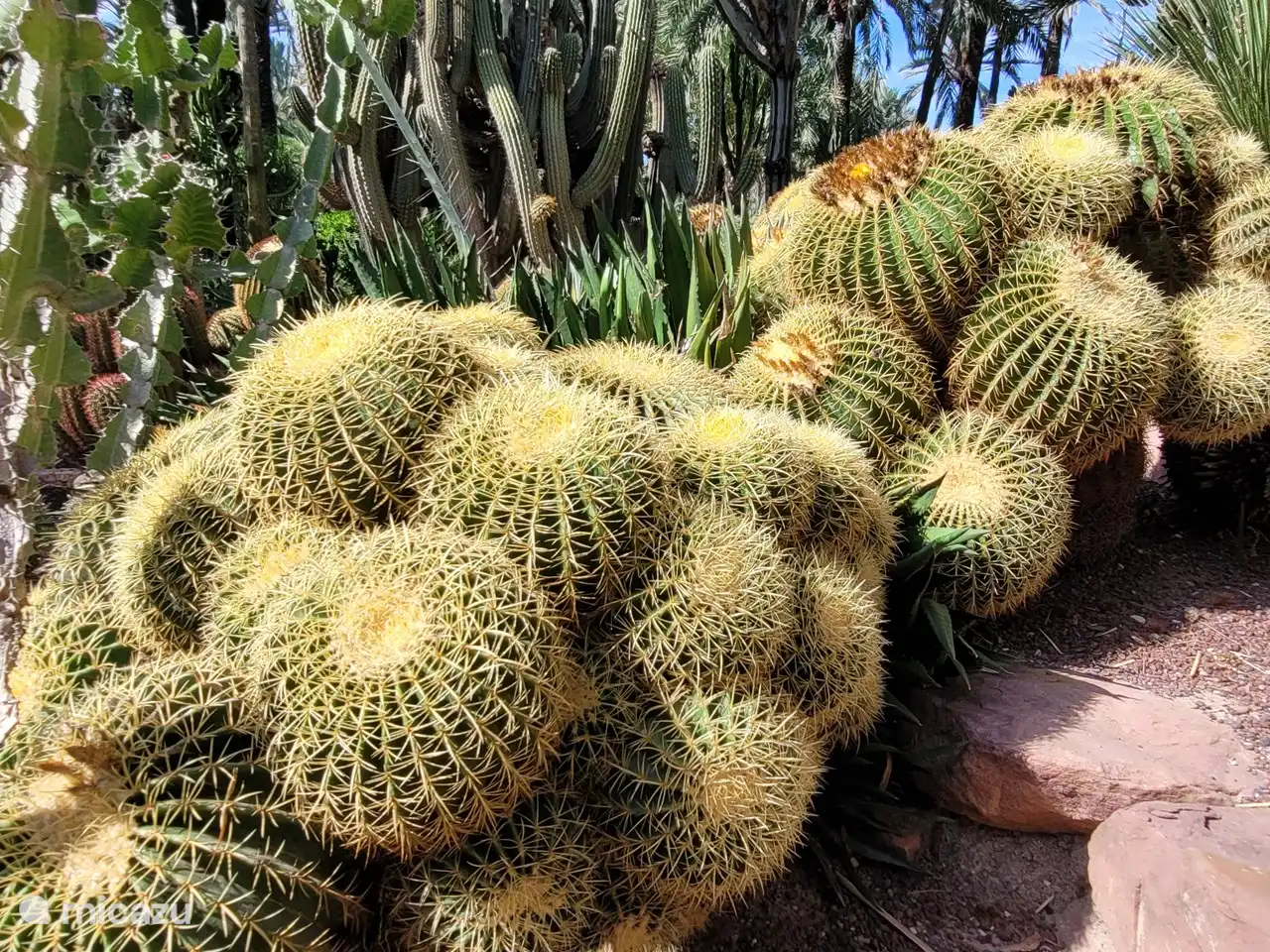 Botanischer Garten Elche