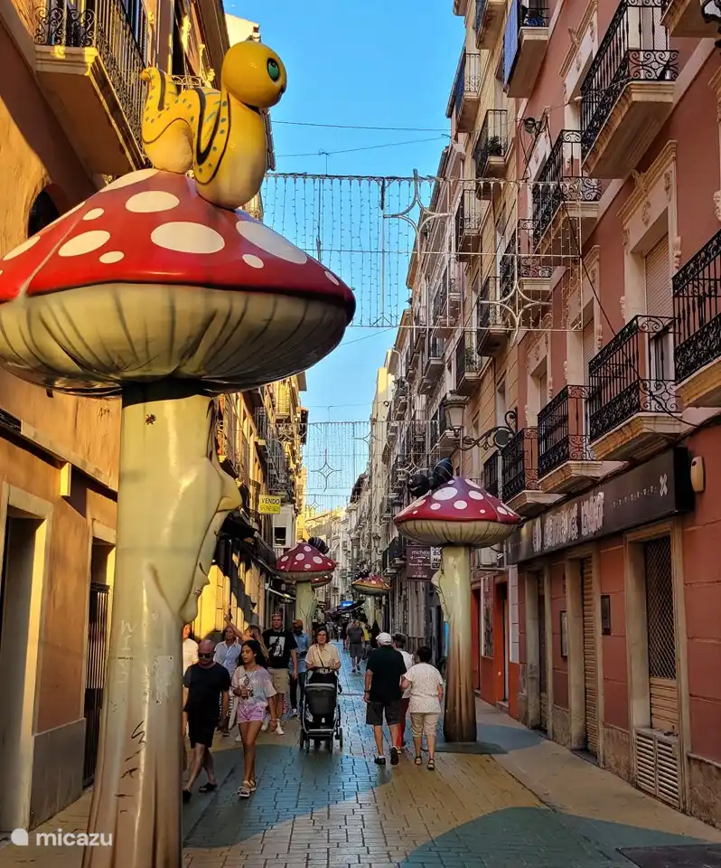 Carrer San Francisco (die Pilzstraße in Alicante)