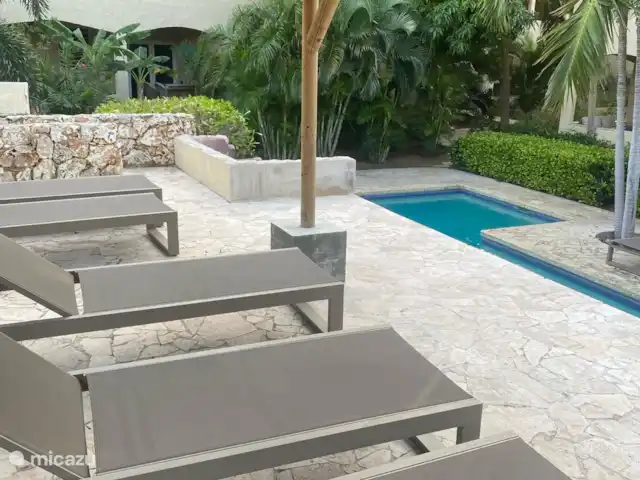 Cocobana18 huren in Curaçao, Banda Ariba (oost), Cas Grandi - appartement boven het zwembad lekker liggen bruinen in de zon