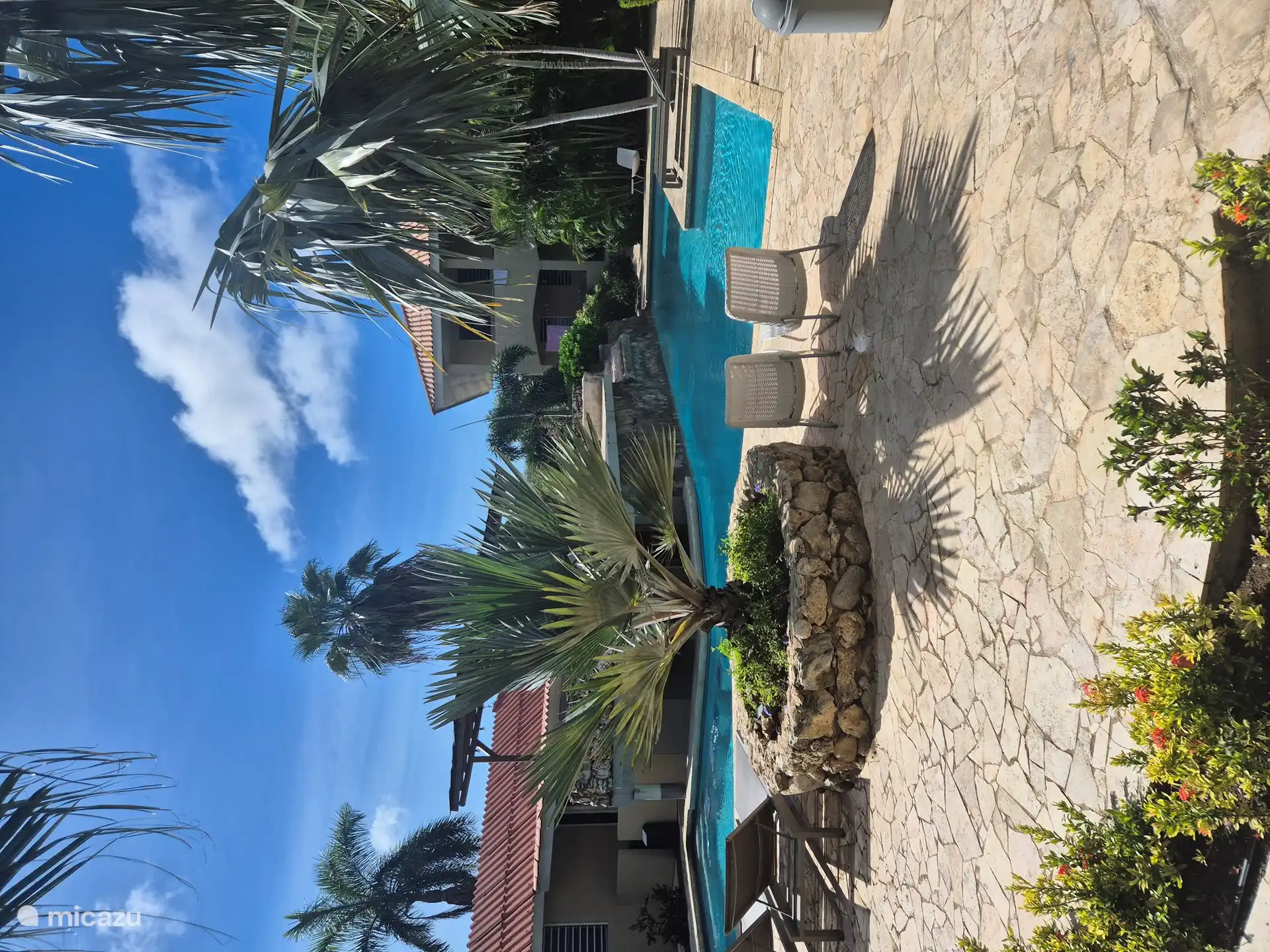 Relájate junto a la piscina 