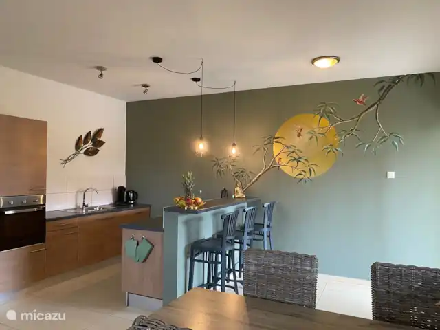 Cocobana18 huren in Curaçao, Banda Ariba (oost), Cas Grandi - appartement de open keuken met alle faciliteieten