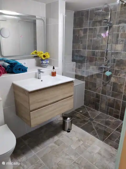 Salle de bain avec douche à l'italienne et toilettes.