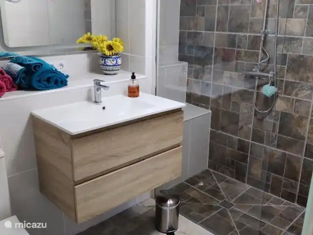 Location de Vacances Espagne, Valence, Monserrat, studio - Casa MuchoMas-Studio, Valence 25min Salle de bain avec douche à l'italienne et toilettes.