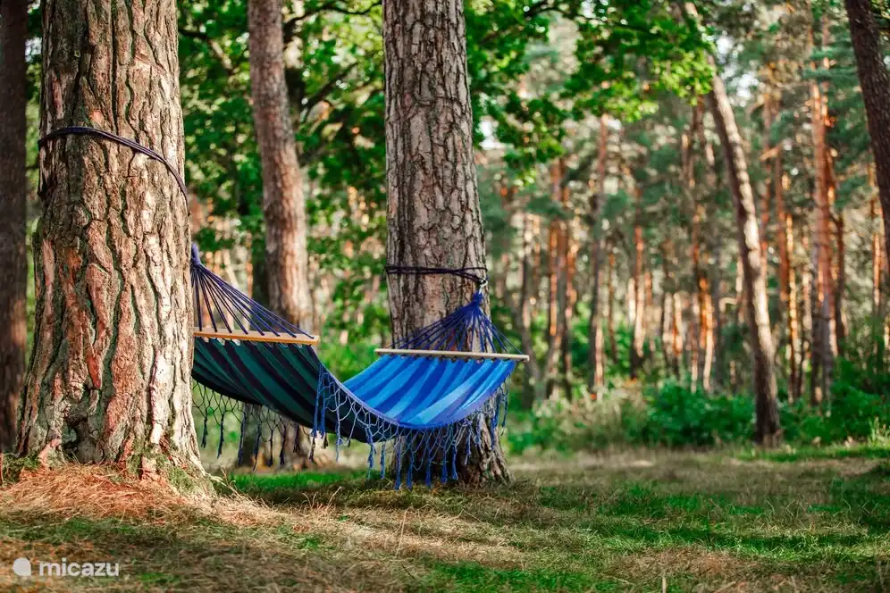 Profitez-en dans le jardin !