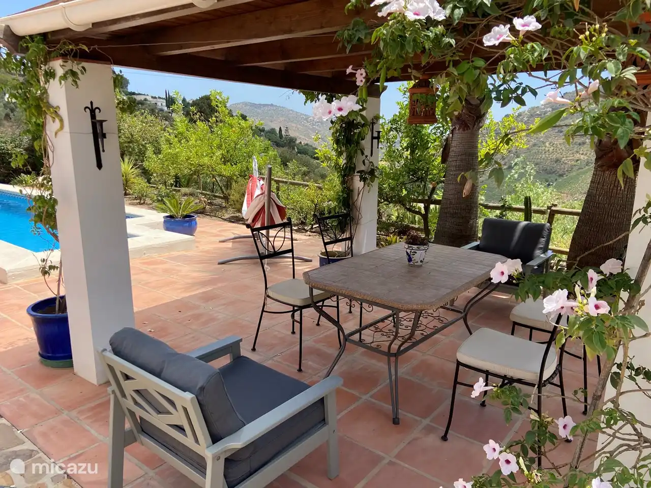 Nourriture délicieuse à l'ombre.