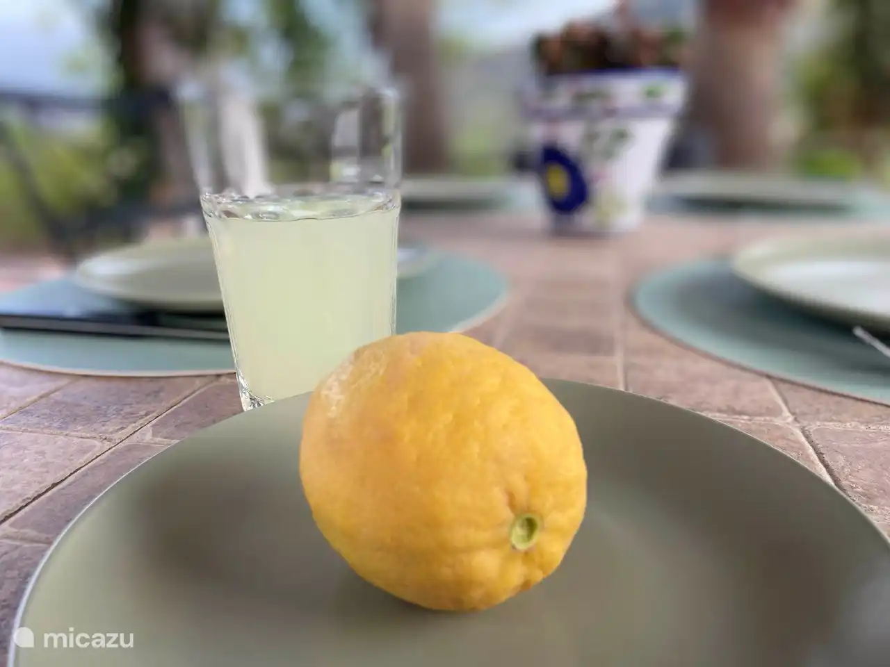 Choisissez vos propres citrons frais pour boire un verre.