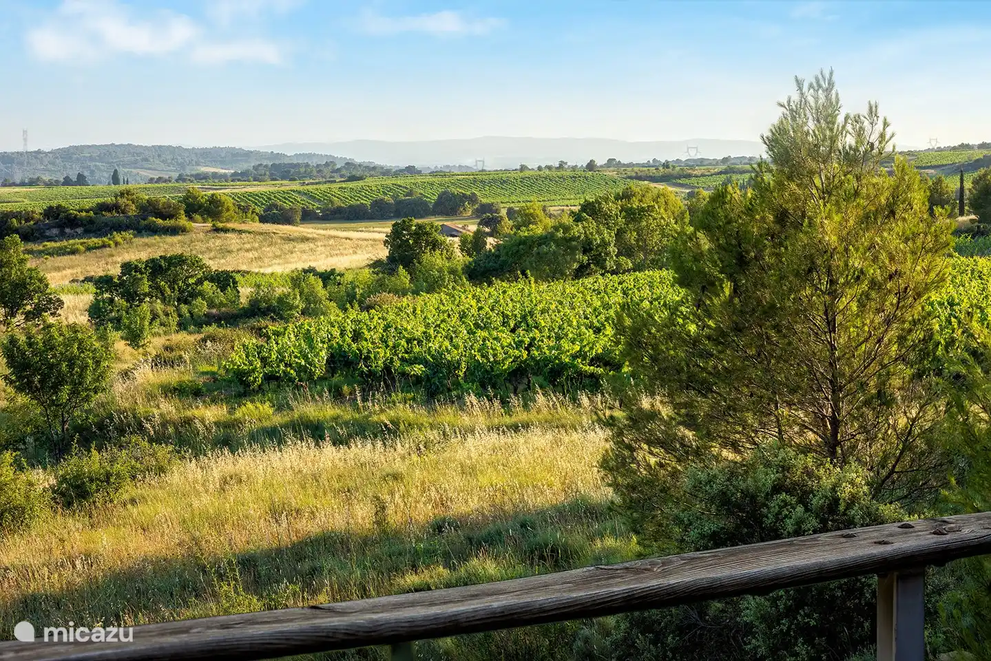Vue imprenable sur les vignes vers les Pyrénées.
